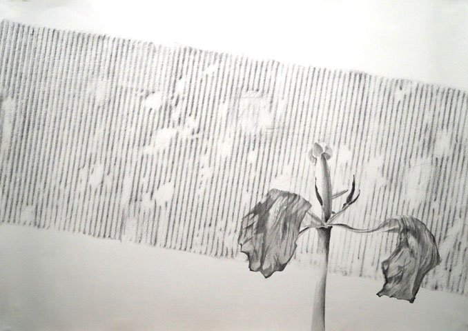 Nichts war in deiner Abwesenheit <br> (zu einem Gedicht von Jürgen Becker) <br><em> Graphit auf Papier <br> 50 × 70 cm</em>